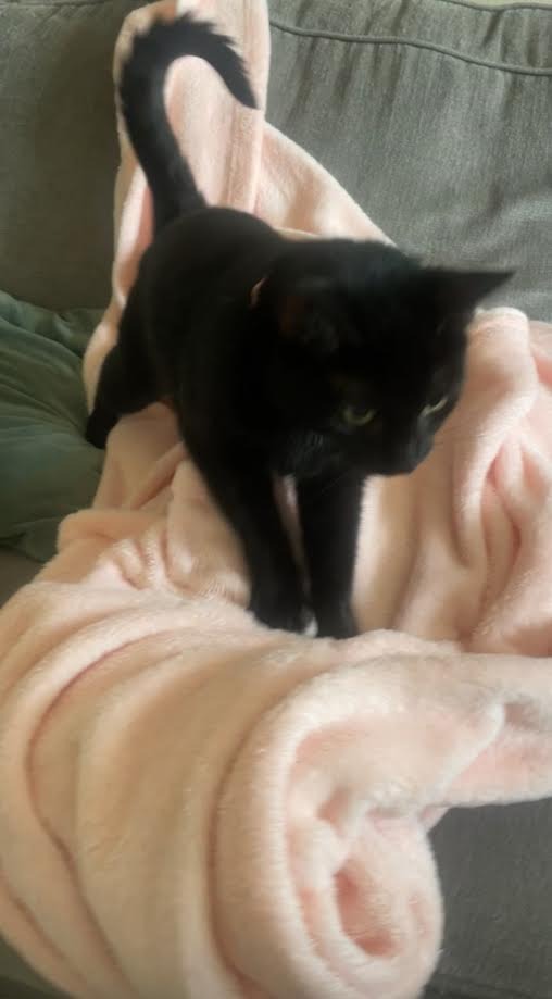 Luna