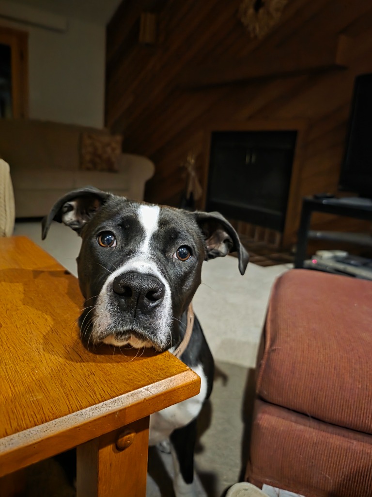 Charlie