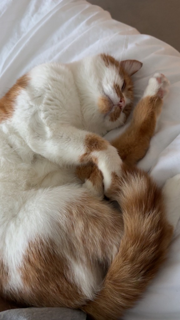 Peanut