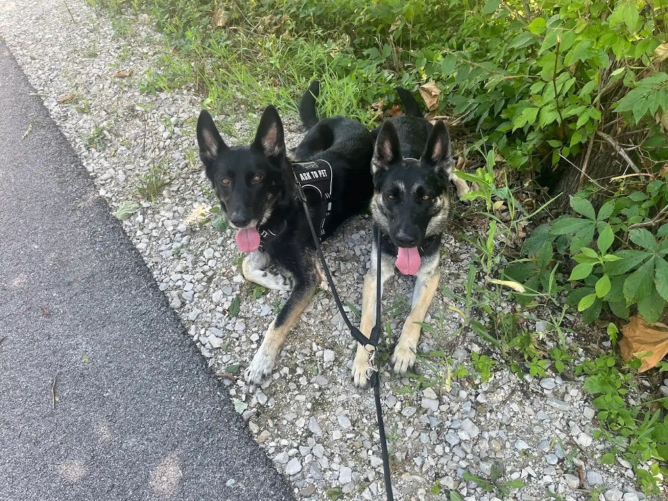 Leia & Stella