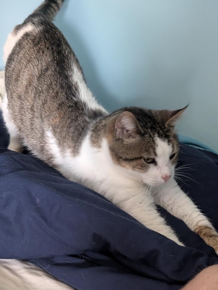 Suzie