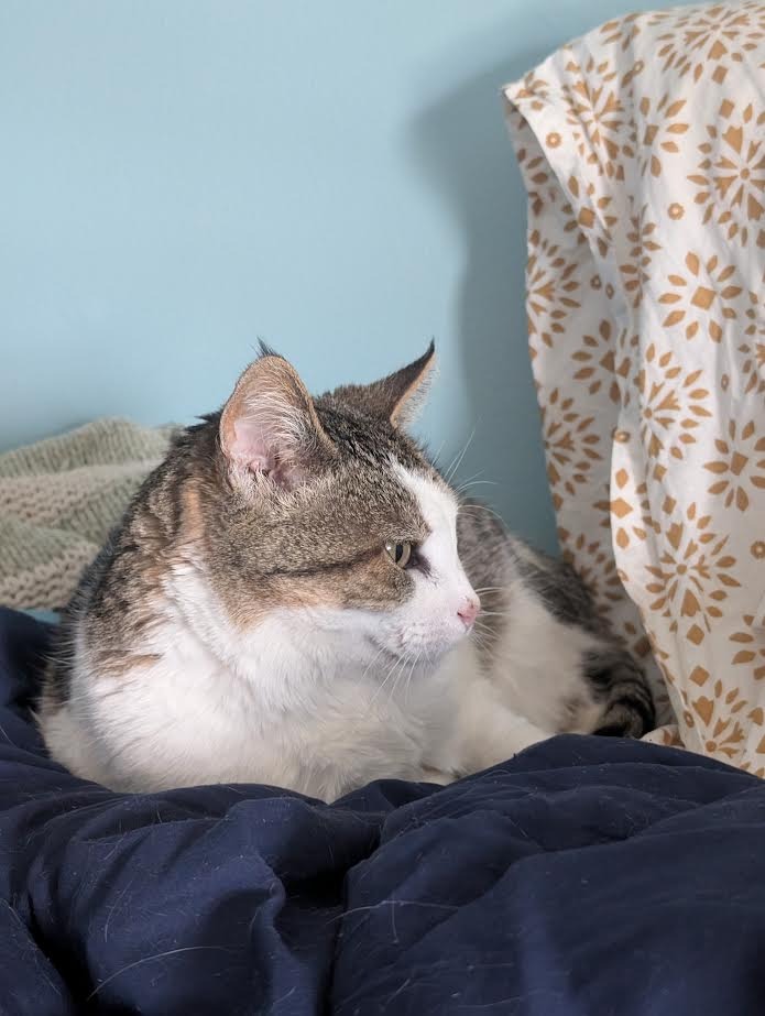 Suzie