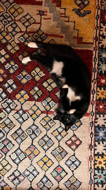 Maggie