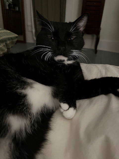Maggie
