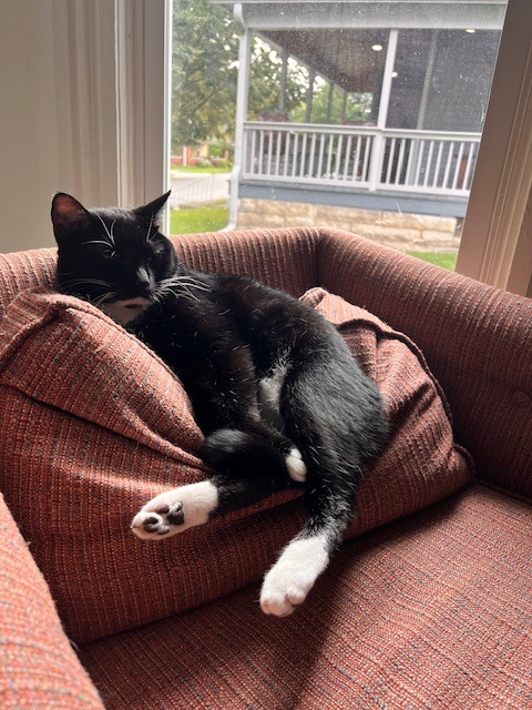 Maggie