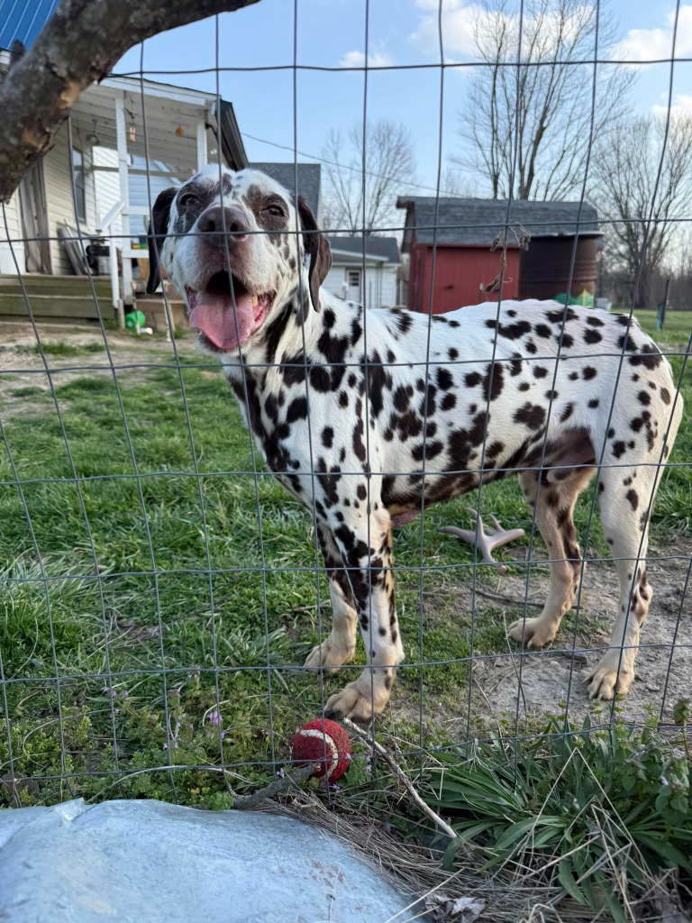 Krypto