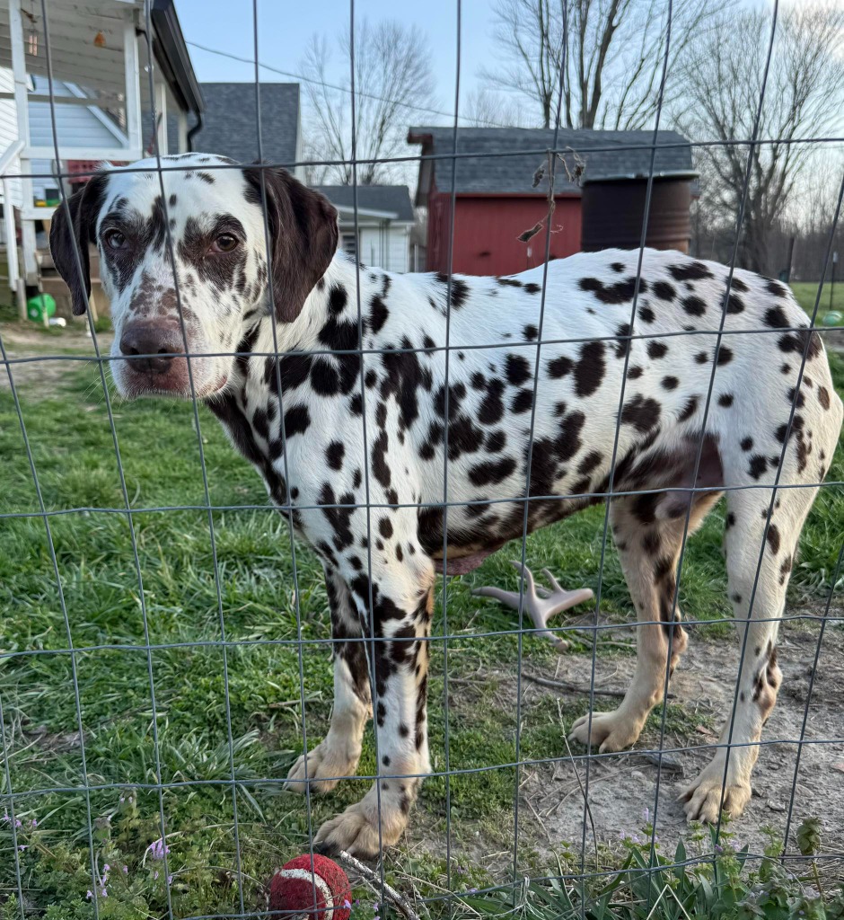 Krypto