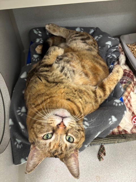 Kiki