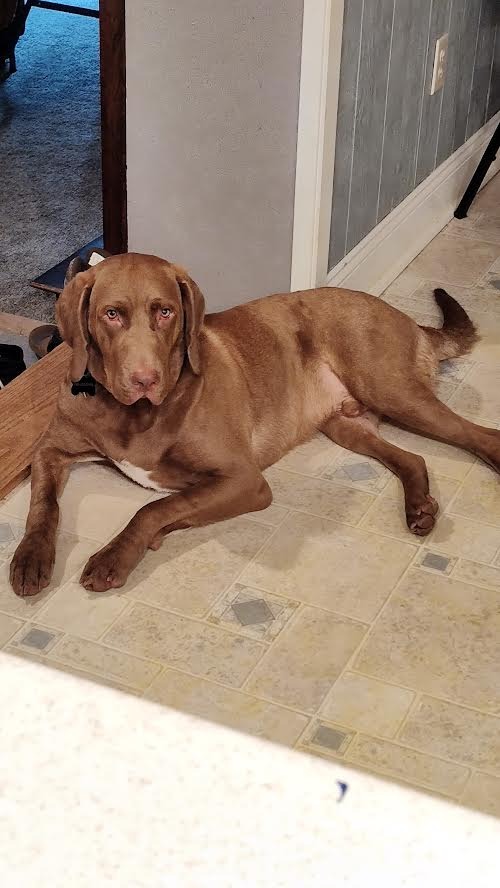 Toby AKA Toblerone, Tobes Malone
