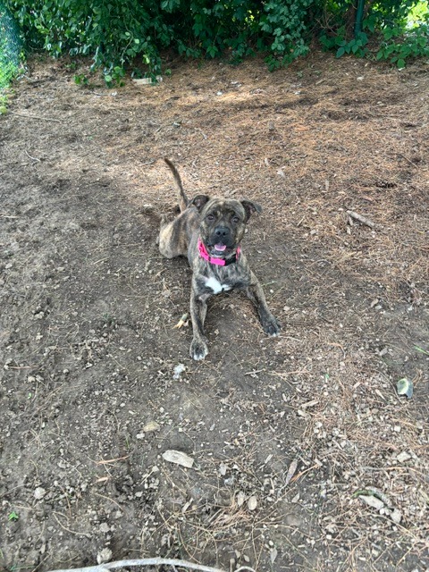 Missy