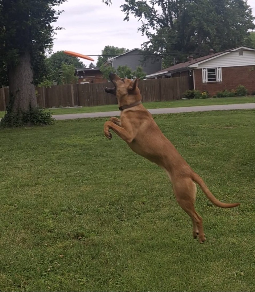 Zoey