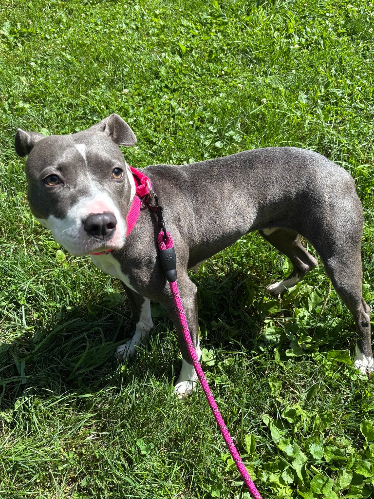 Ruby