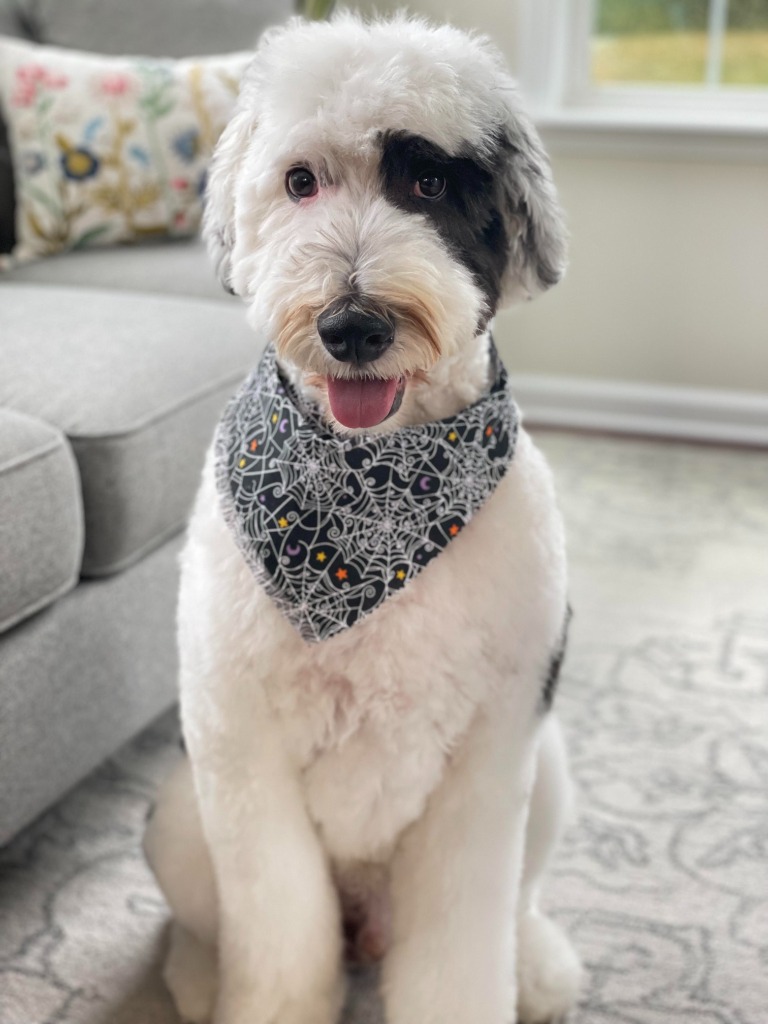Archie