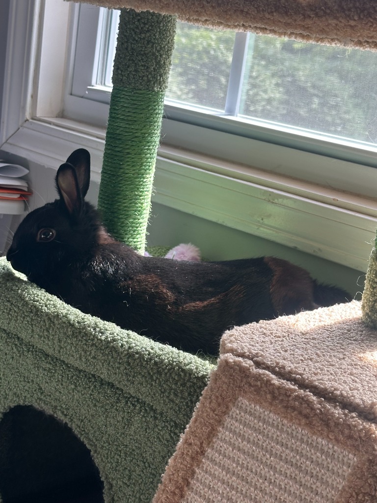 Sabbath