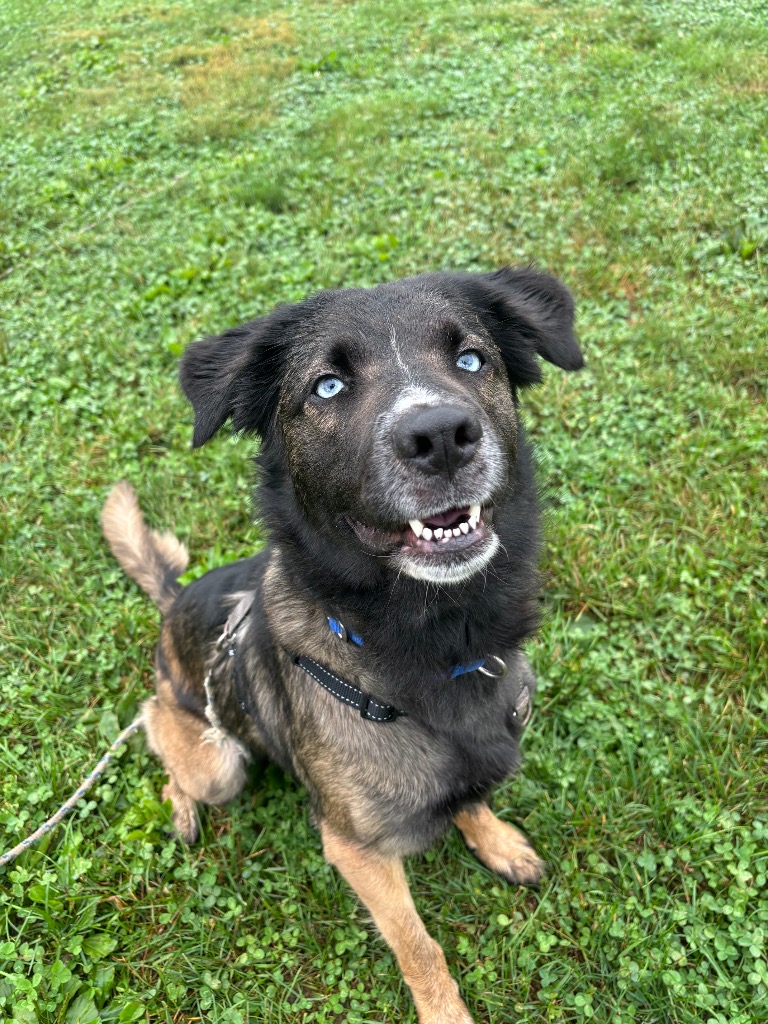 Indy