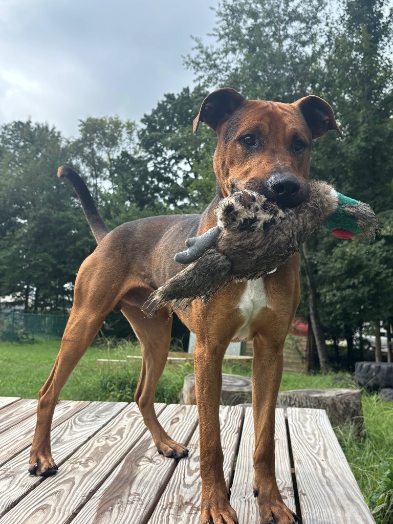 Jax
