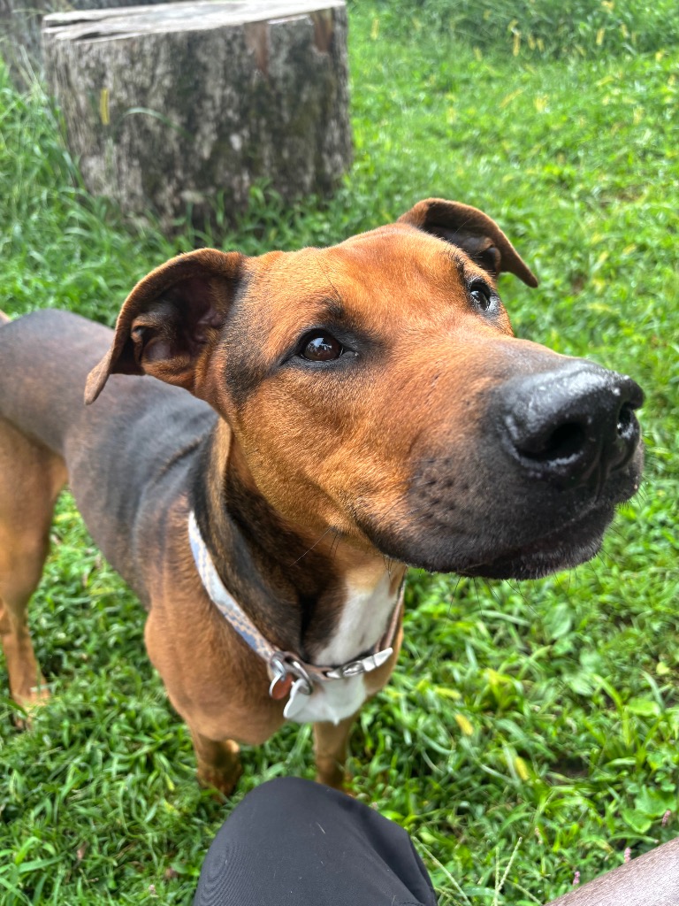 Jax