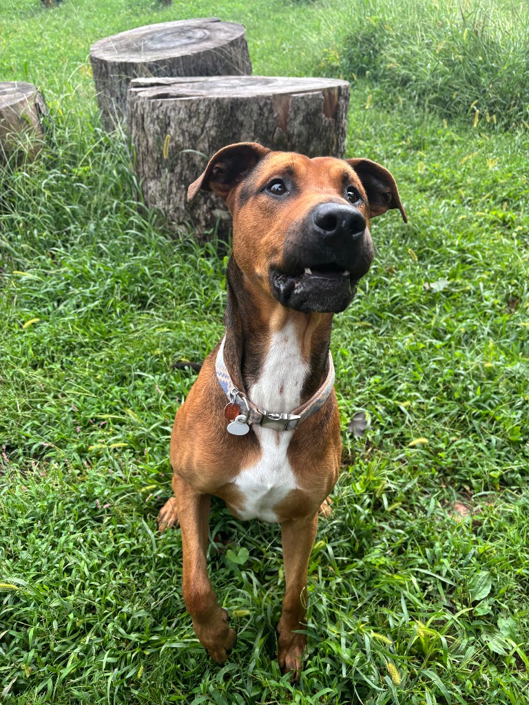 Jax