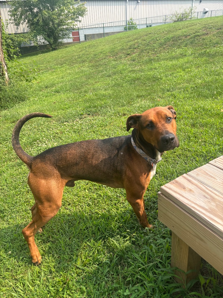 Jax
