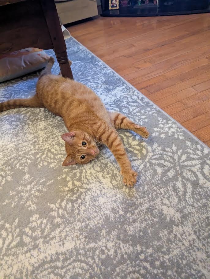 Tigger