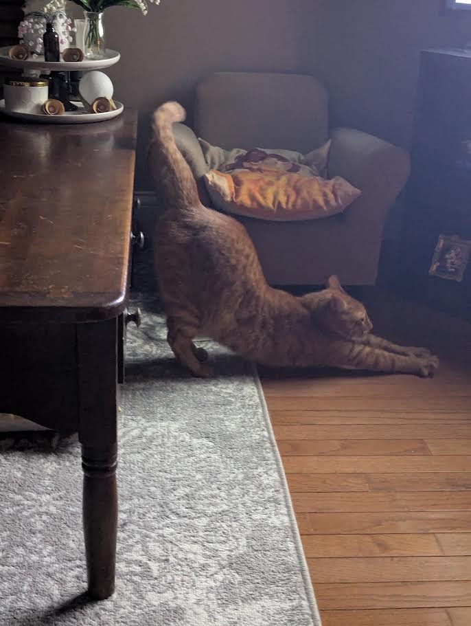 Tigger