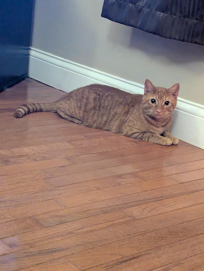 Tigger
