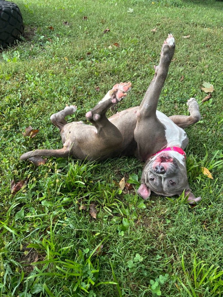 Ophelia